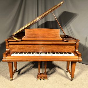 Classic Steinway & Sons Parlor Grand Player Piano