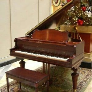 Steger & Sons Parlor Grand Piano