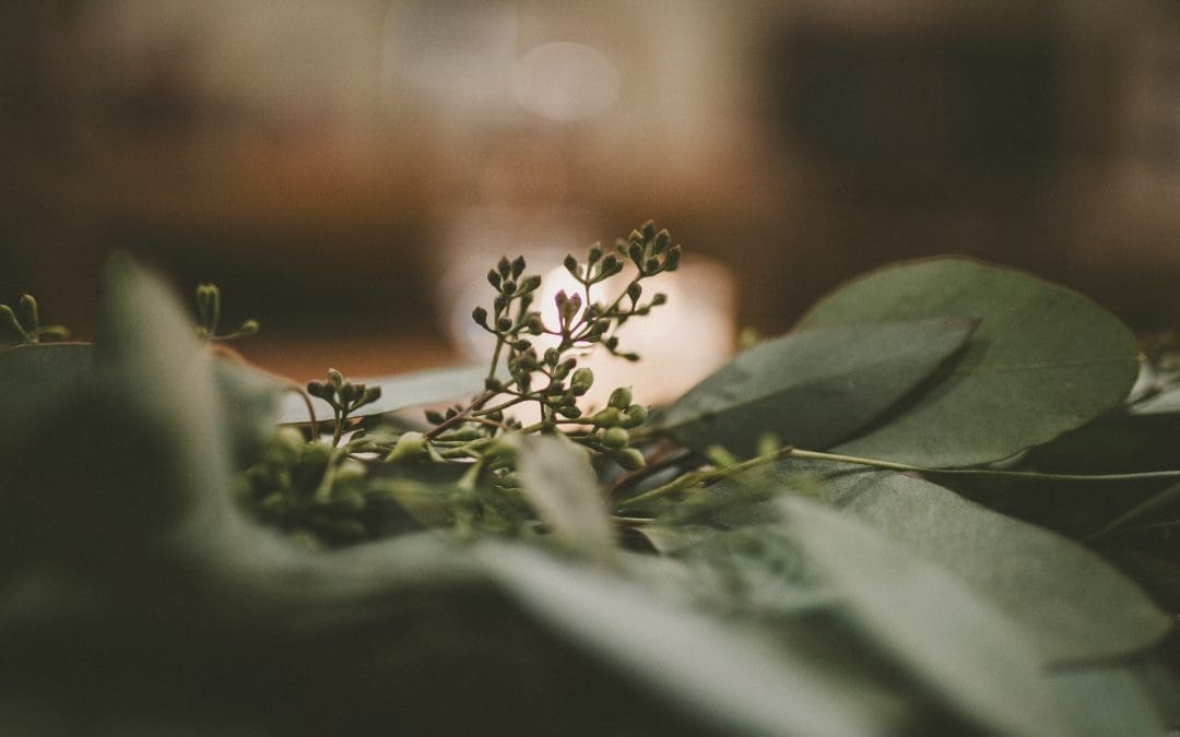 Thanksgiving Traditions